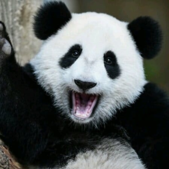 Meet your Posher, Alexis - Picture 1 of 1